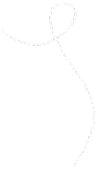 fly-line